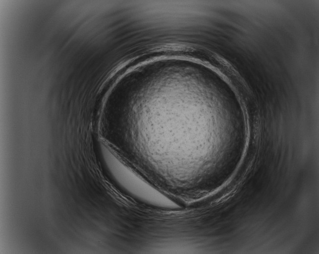 X0000052641017200507160151