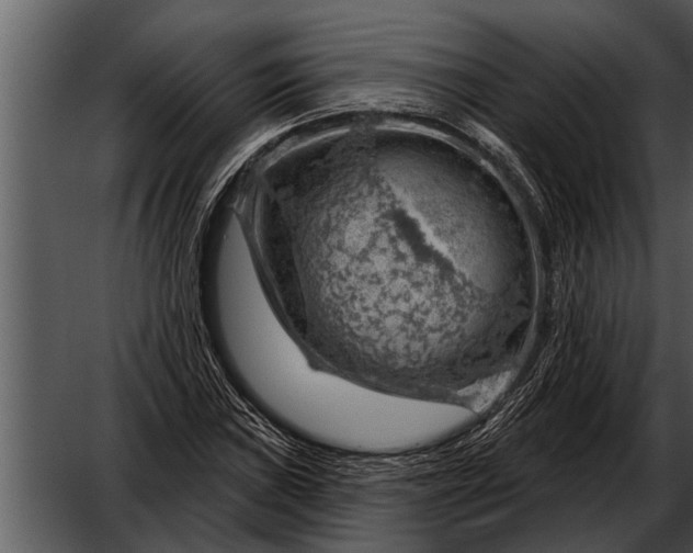 X0000052641019200507160151