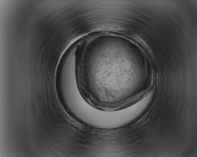 X0000052641020200507160151