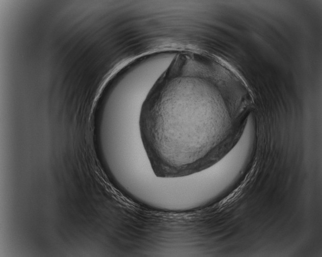 X0000052641021200507160151