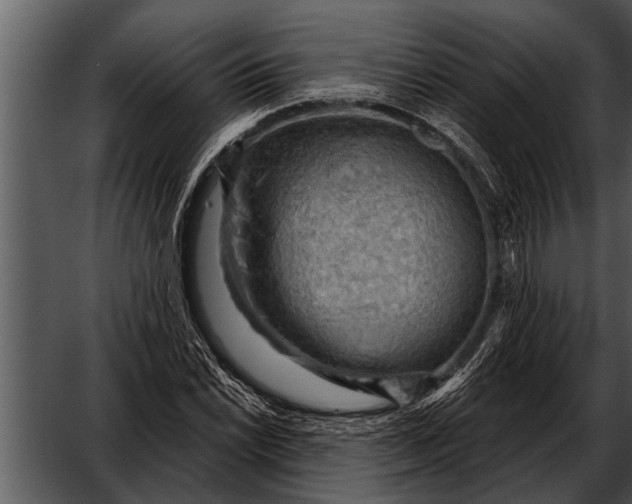 X0000052641022200507160151