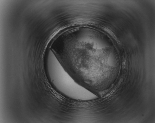 X0000052641023200507160151