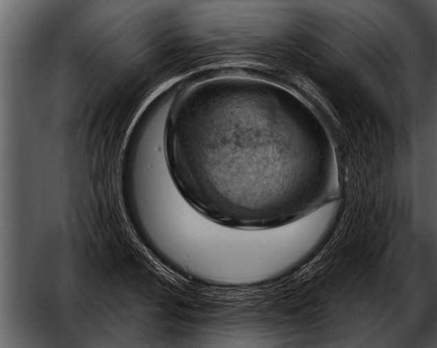 X0000052641024200507160151