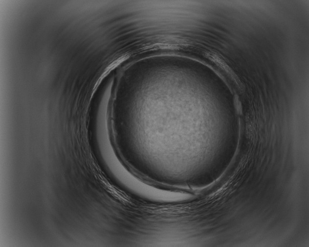 X0000052641026200507160151