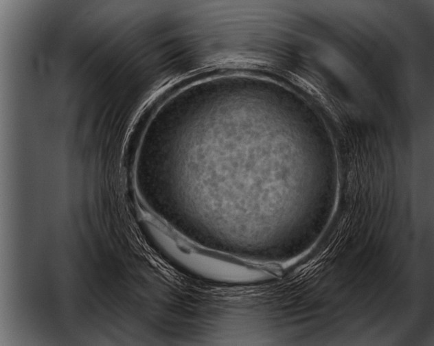 X0000052641027200507160151