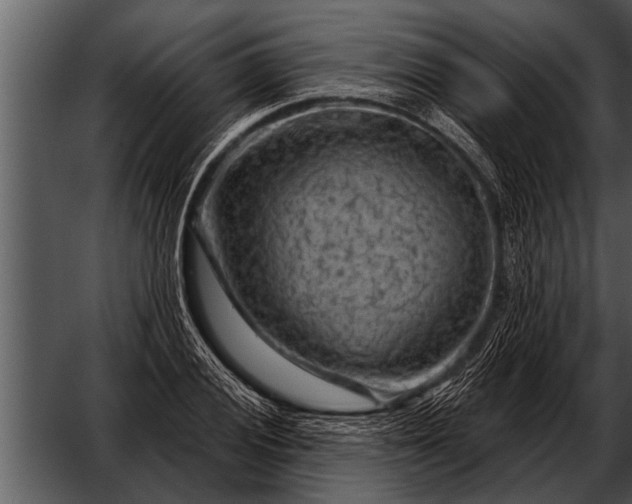 X0000052641028200507160151