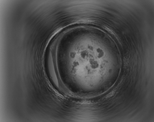 X0000052641029200507160151