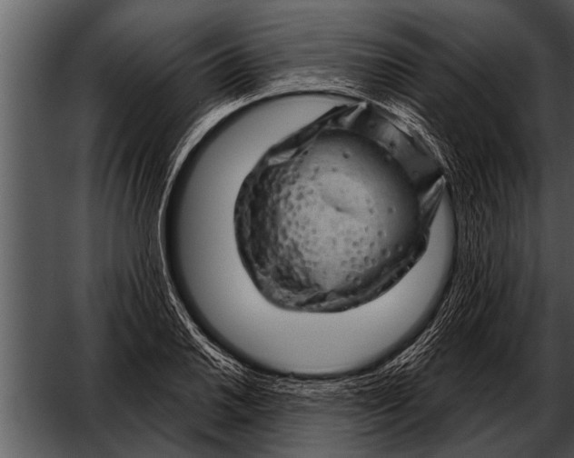 X0000052641030200507160151