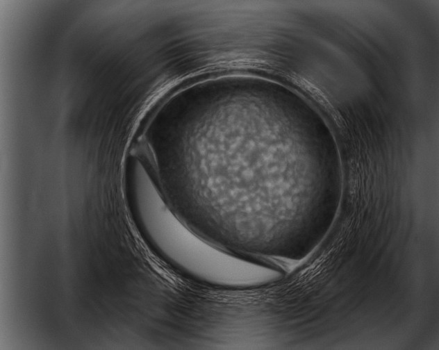 X0000052641031200507160151