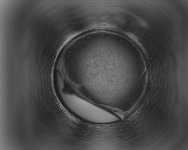 X0000052641032200507160151