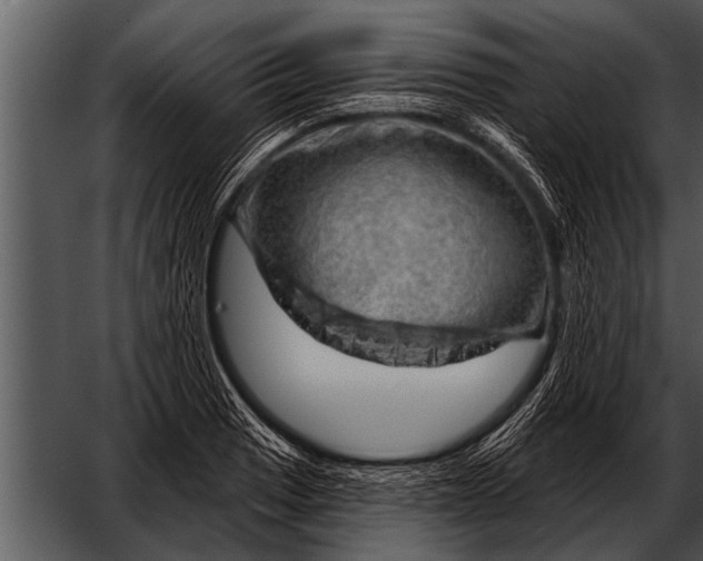 X0000052641033200507160151