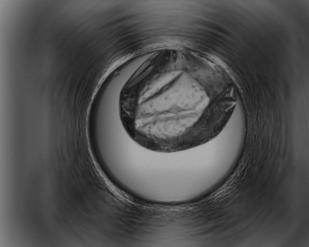 X0000052641034200507160151