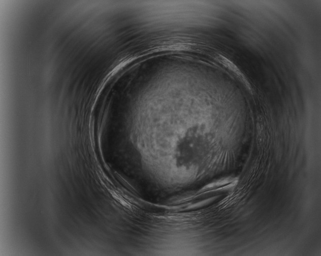 X0000052641035200507160151