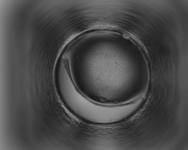 X0000052641037200507160151