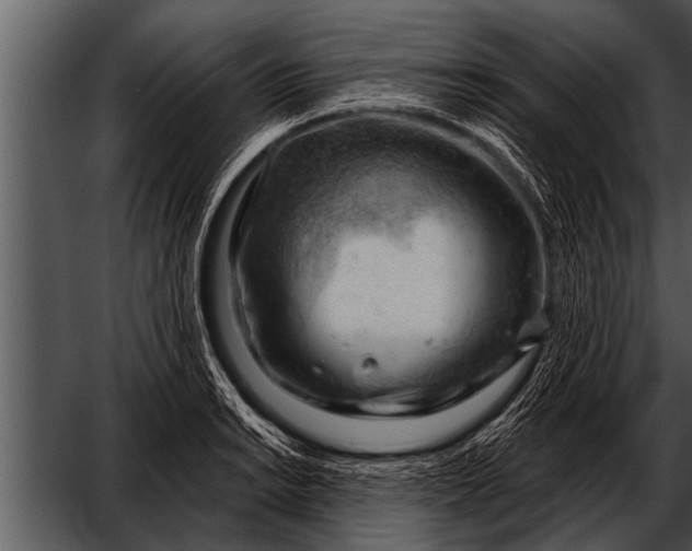 X0000052641038200507160151