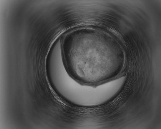 X0000052641039200507160151