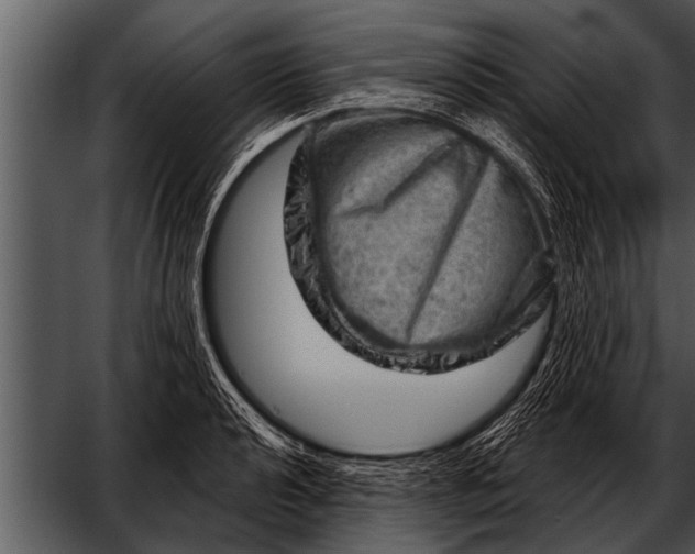 X0000052641040200507160151