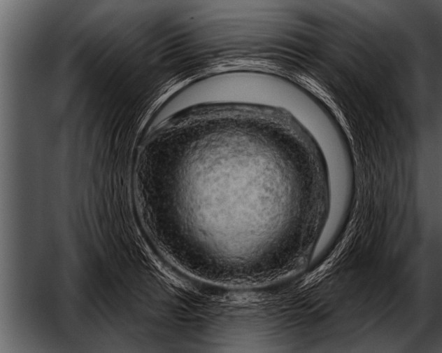 X0000052641041200507160151