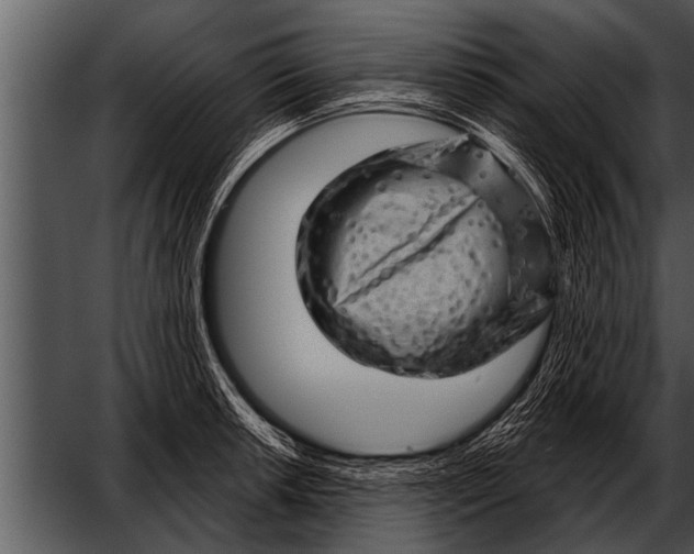 X0000052641042200507160151