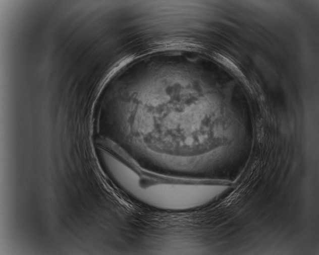 X0000052641043200507160151