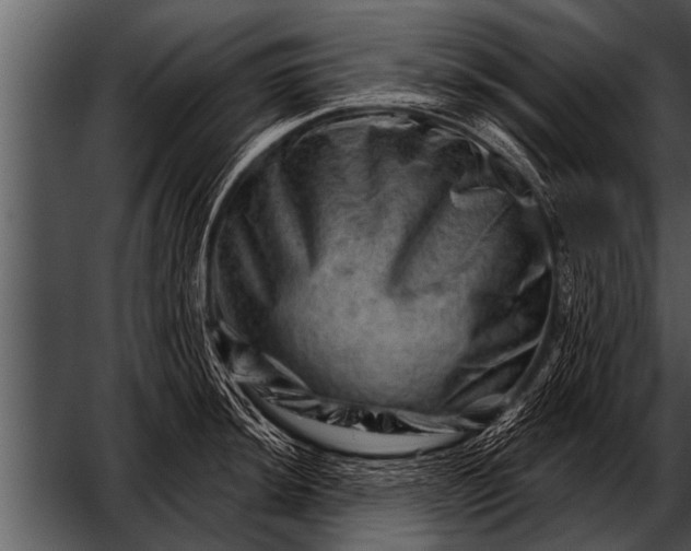 X0000052641044200507160151