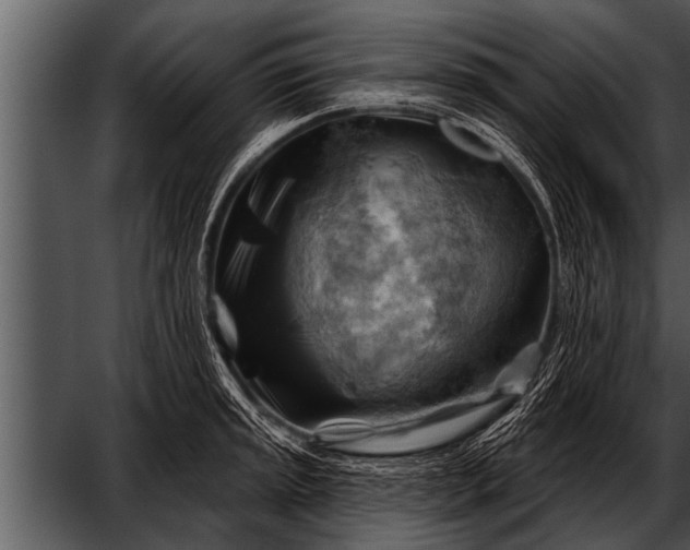 X0000052641045200507160151