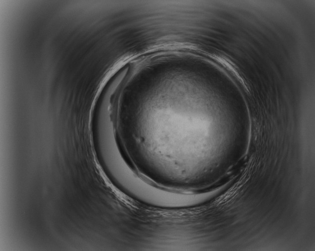 X0000052641046200507160151