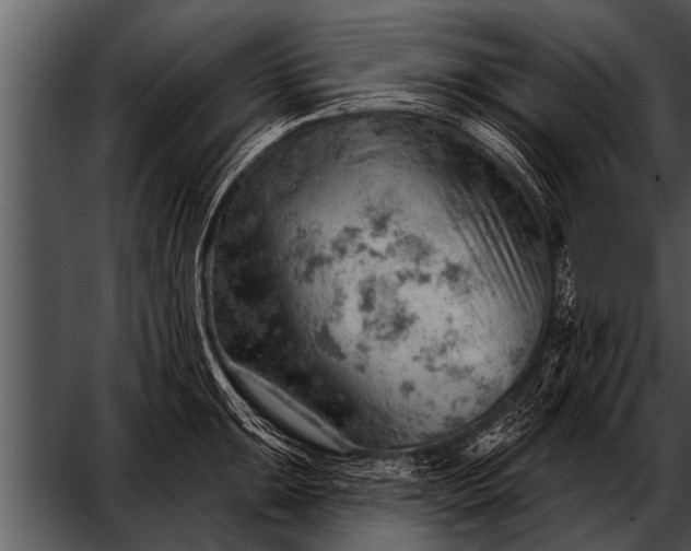 X0000052641047200507160151