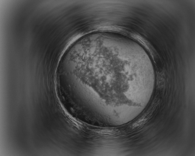 X0000052641048200507160152