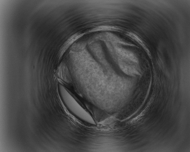 X0000052641049200507160152