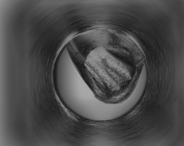 X0000052641050200507160152