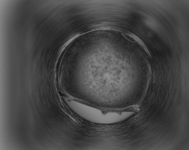 X0000052641051200507160152