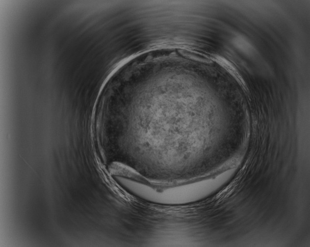 X0000052641052200507160152