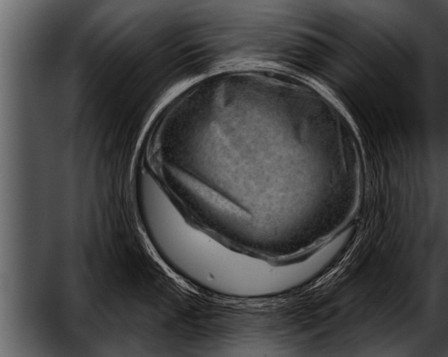 X0000052641053200507160152