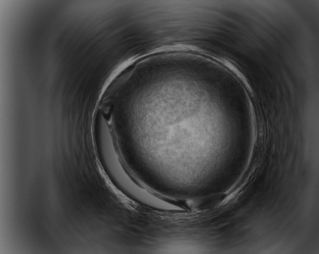 X0000052641054200507160152