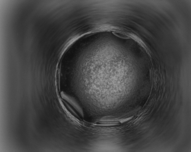 X0000052641055200507160152