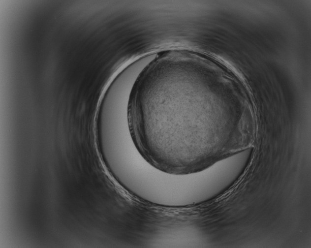 X0000052641056200507160152