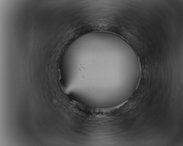 X0000052641057200507160151