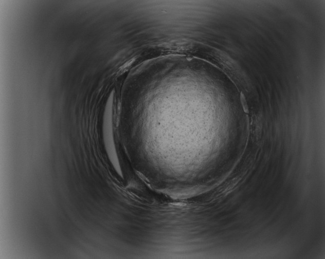 X0000052641058200507160151