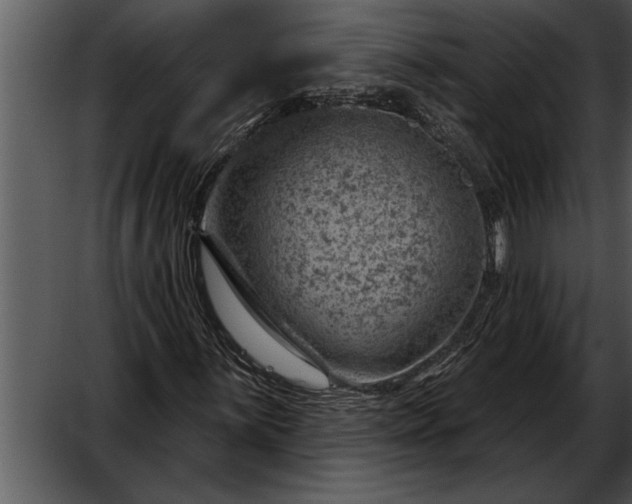 X0000052641059200507160151