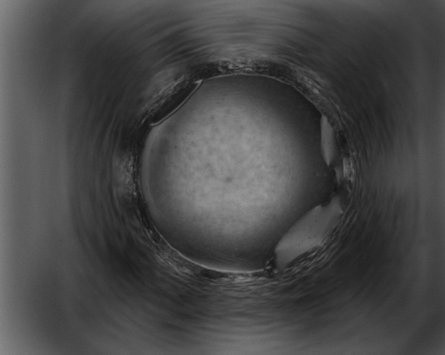 X0000052641060200507160151