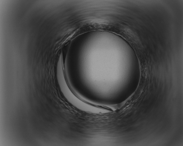 X0000052641061200507160151