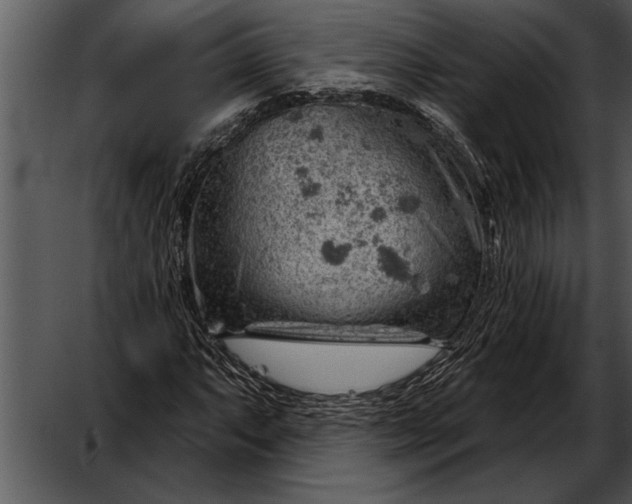 X0000052641063200507160151