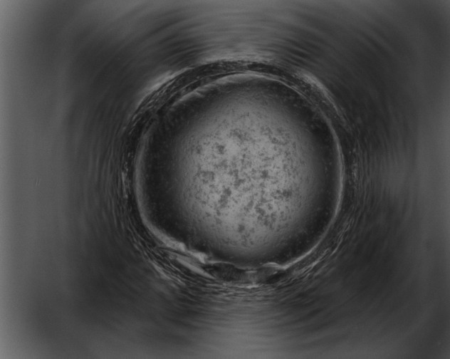 X0000052641064200507160151