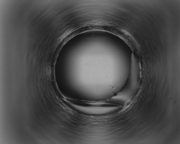 X0000052641065200507160151