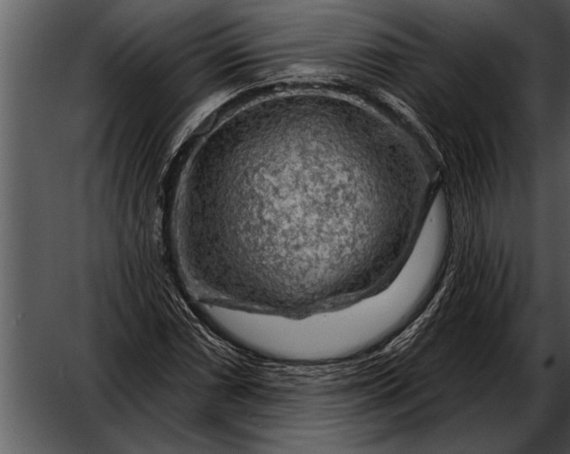 X0000052641066200507160151