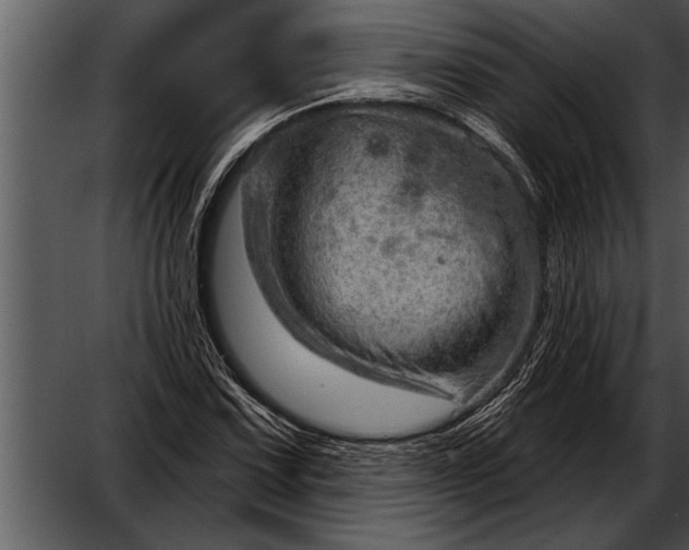 X0000052641067200507160151