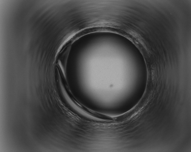 X0000052641069200507160151