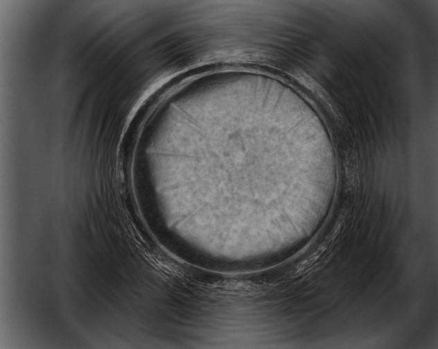 X0000052641070200507160151