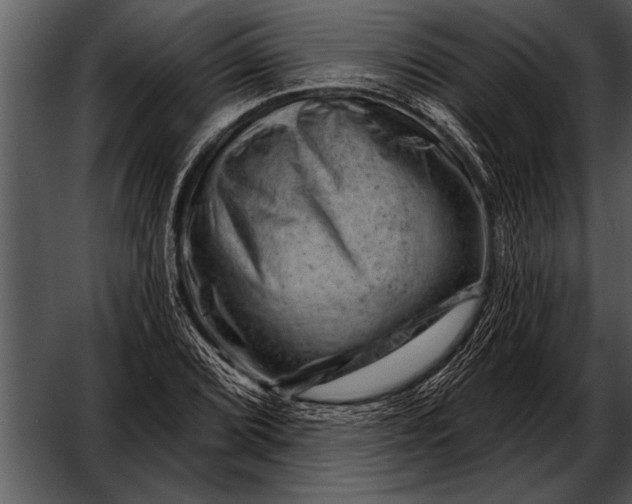 X0000052641072200507160151